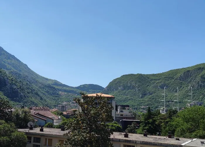 Apartment Oaza